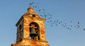 ����¥�����Ⱥ