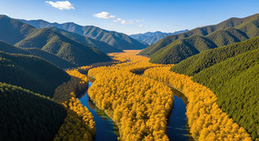 ����Ͽ�Ƚ�������