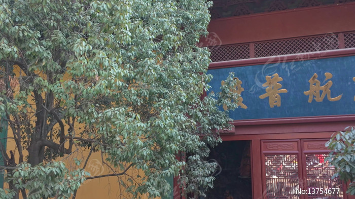 ���������´Ⱥ��ն�����