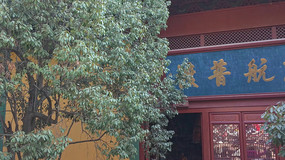 ���������´Ⱥ��ն�����