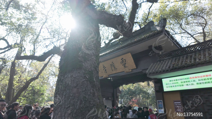 �������������