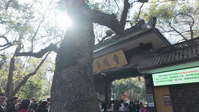 �������������