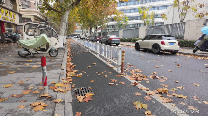 ������ƽ�ֵ��ﾰ��Ҷ�������˻���