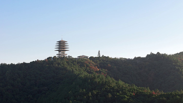 杭州临平区临平山东来阁 杭州临平区临平山东来阁