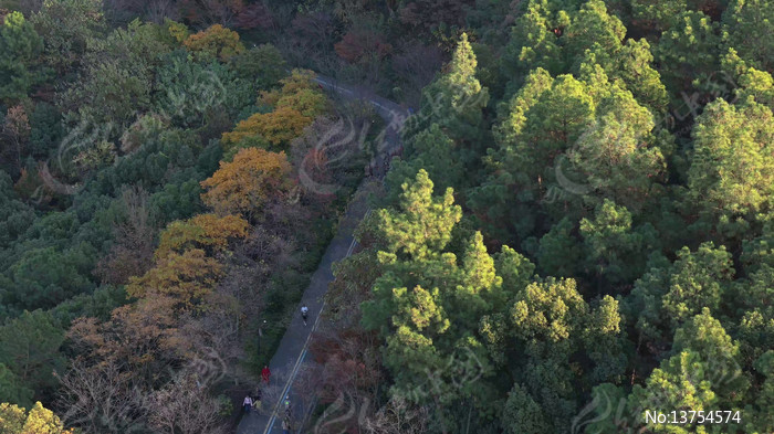 ������ƽ����ƽɽ�۹ⲽ��С·�ﾰ