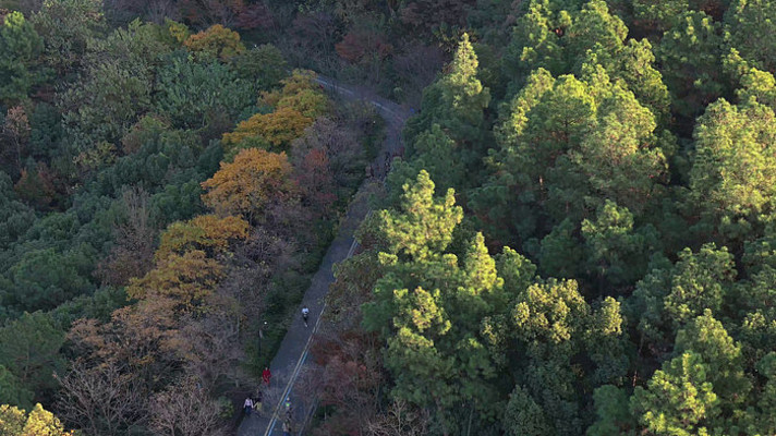 ������ƽ����ƽɽ�۹ⲽ��С·�ﾰ