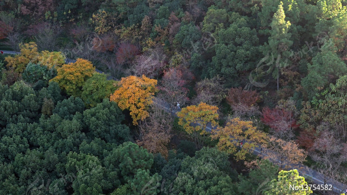 ������ƽ����ƽɽ�۹ⲽ��С·�ﾰ