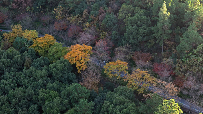 ������ƽ����ƽɽ�۹ⲽ��С·�ﾰ