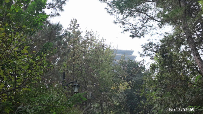 ������ƽ����ƽɽ������ӳ�µĶ�����