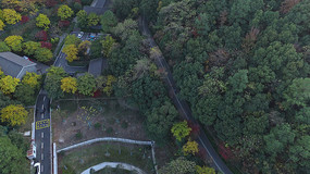 ������ƽɽͼ���