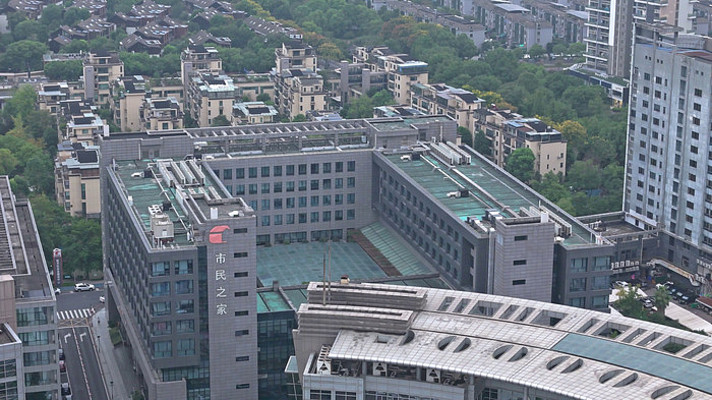 ������ƽ��������