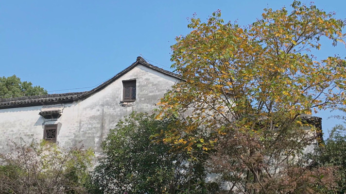 杭州临平塘栖古镇秋日白墙黑瓦古建筑 杭州临平塘栖古镇秋日白墙黑瓦古建筑