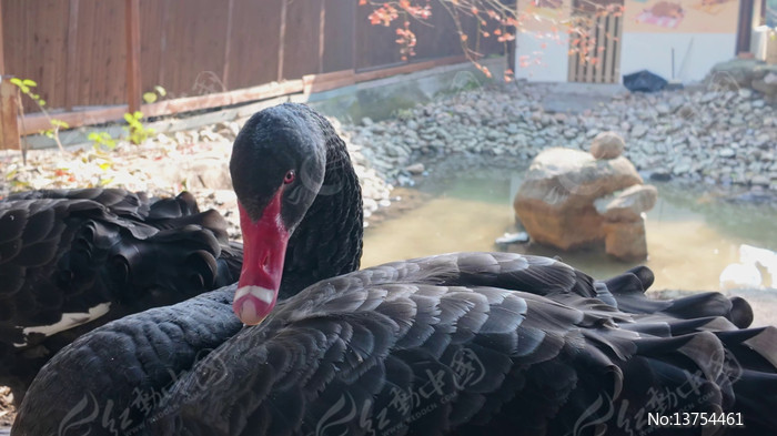 ����������д