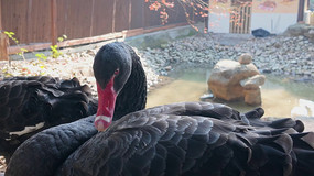 ����������д