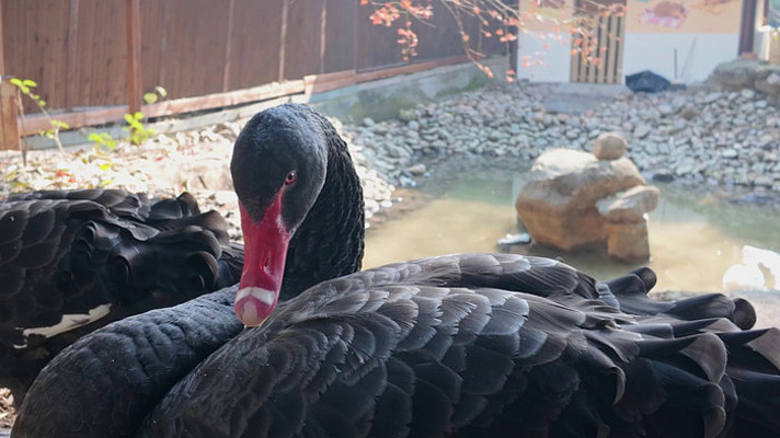 ����������д