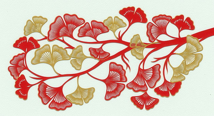 �������Ҷ��ֽװ��