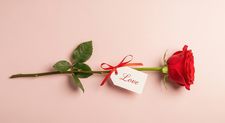 ��ɫõ���밮�ĵ���