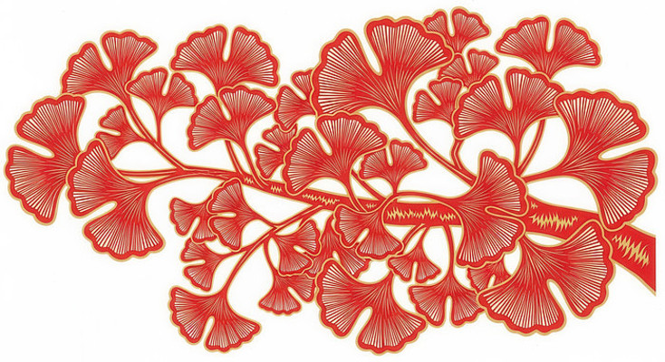 ��ɫ���Ӽ�ֽװ��