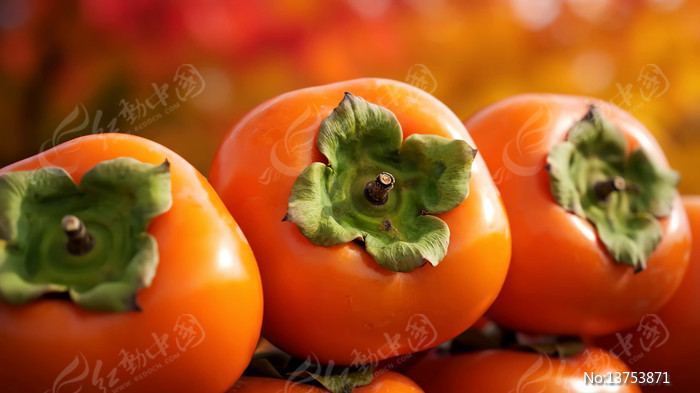 ��ͮͮ��������д