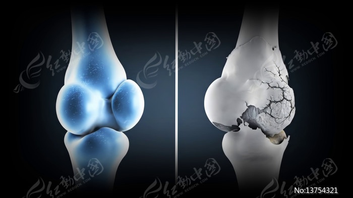 �����뽡����ϥ�ؽڶԱ���Ƶ