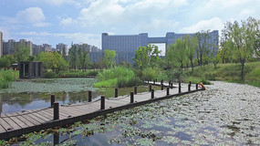 ����ľջ����Զ����������