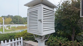 �����ɫ��Ҷ���������豸