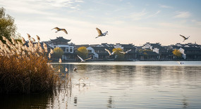 ����ˮ�����ͼ