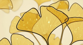 ��Լ����װ�λ�