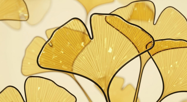 ��Լ����װ�λ�