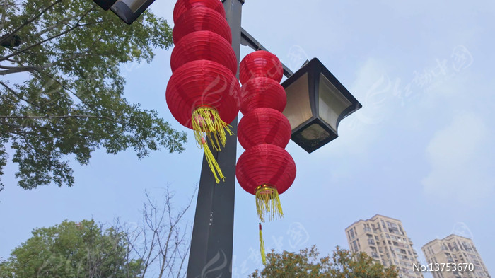 �ֵ���������Ҿ���