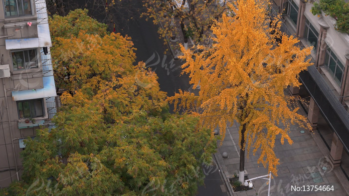 �ֵ������������뽨������