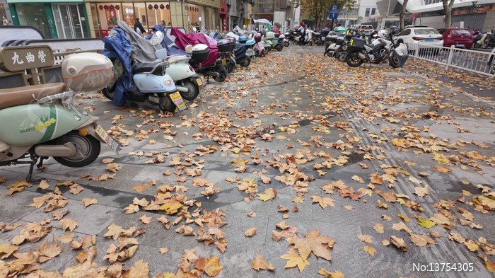 �ֵ�ͣ�ŵ綯������Ҷ����