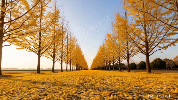 ��������ִ��