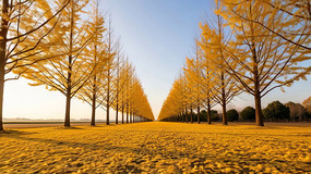 ��������ִ��