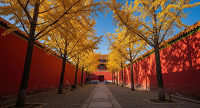 �������ӳ��ǽ