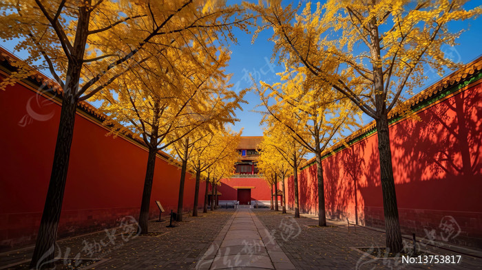 �������ӳ��ǽ