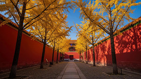 �������ӳ��ǽ