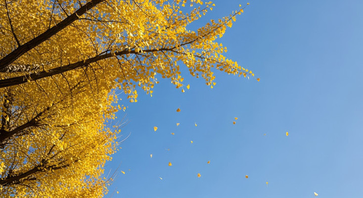 �������������