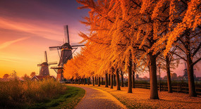 ����糵��������