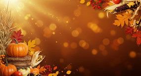 ������ձ����ز�