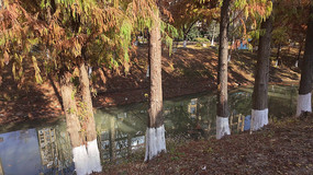 ����Ӱ���ˮɼ������