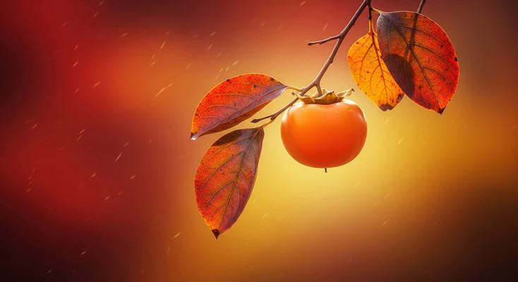 ��������ӱ���