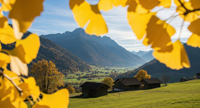 ����ɽ�ȼ��ľ�ݴ���