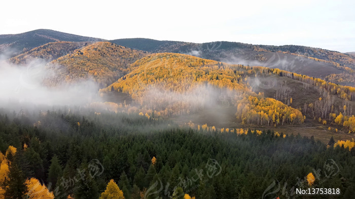 ����ɽ���ƺ�����