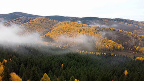 ����ɽ���ƺ�����