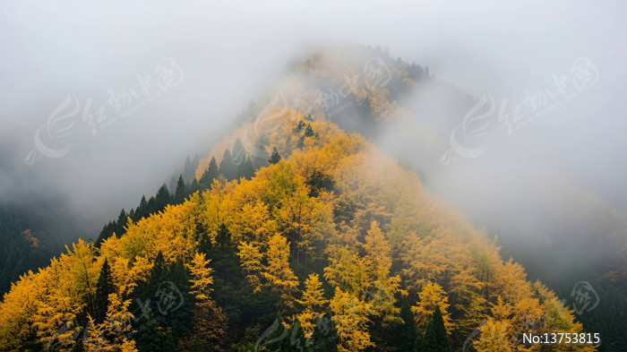 ��������ɽ������