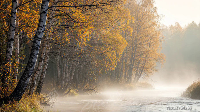 �������кӾ���������