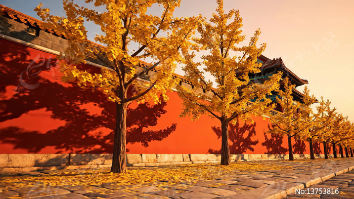 �������ӹ�ǽ��ɫ