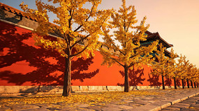 �������ӹ�ǽ��ɫ