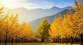 ������������Զɽ�ճ�